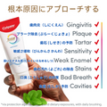 コルゲート トータル ホワイトニング（144g）